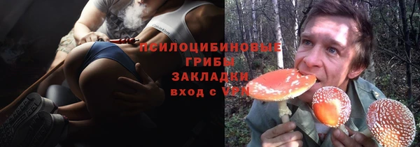 крисы Арсеньев